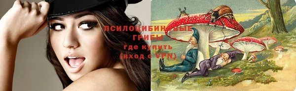 мяу мяу мука Алексеевка