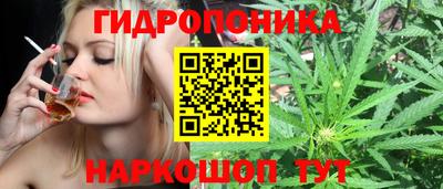 дмт Ливны