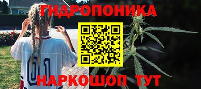 ECSTASY Лесосибирск