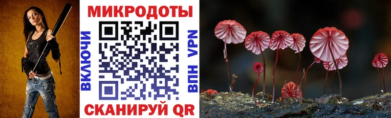 hydra   Лесной  Галлюциногенные грибы Cubensis 